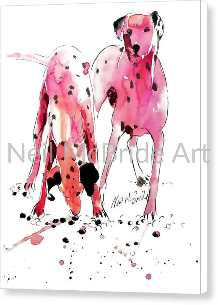 Pink Dalmation dogs © Neil McBride 2019