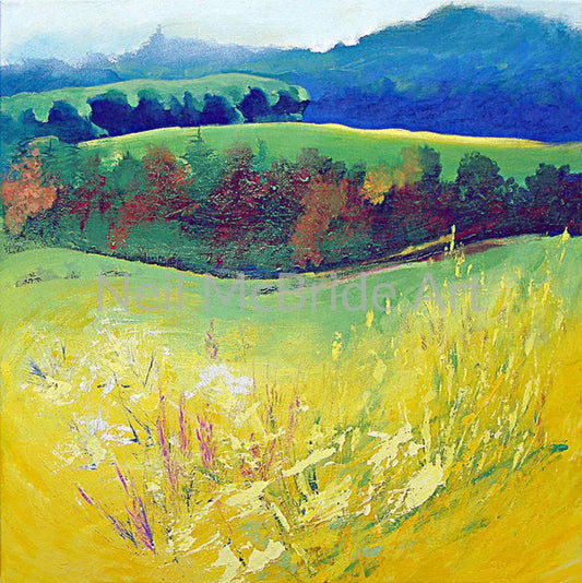 Yellow Meadow Paper Print 13.875’’ x 14.000’’ / Somerset Velvet Art Print
