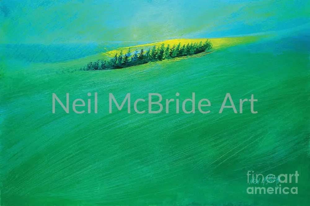 Coastal Copse - Art Prints from the studio of Neil McBride Art