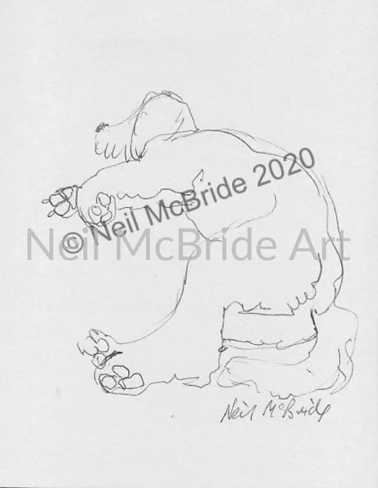 Ollie - original drawing from the sketchbook Drawing