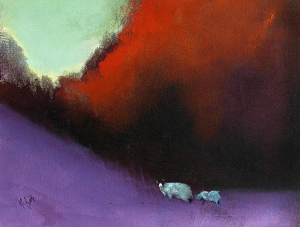 Heathland Sheep - Art Print - Neil McBride Art