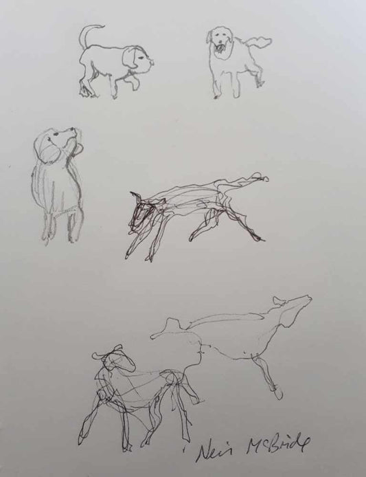 Sketchbook drawings of dogs by Neil McBride © Neil Mcbride 2020