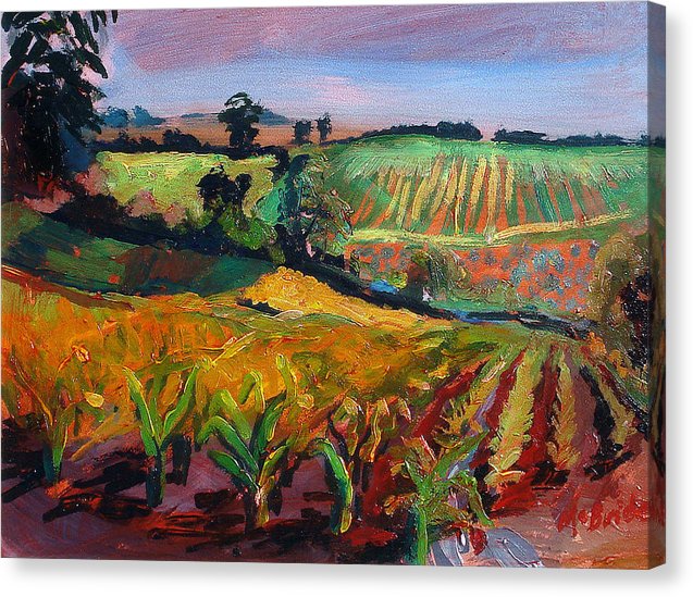 Landscape canvas prints uk © Neil McBride 2025