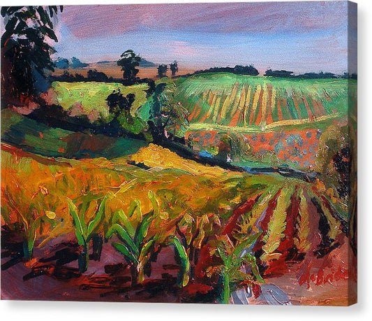 Landscape canvas prints uk © Neil McBride 2025
