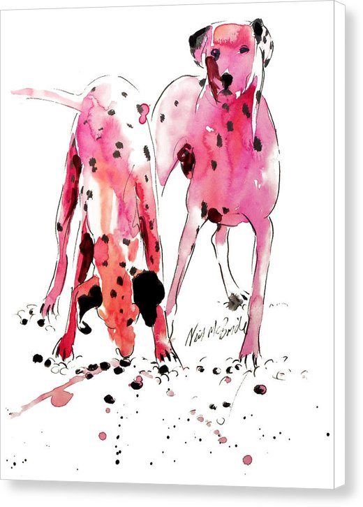 Pink Dalmation dogs © Neil McBride 2019