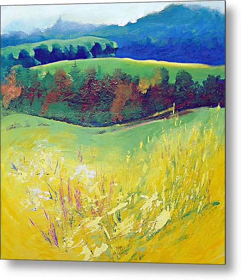 Yellow Meadow - Metal Print © Neil McBride 2018